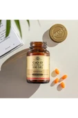 Solgar Coenzyme Q-10 100MG 30 Kapsül - thumbnail 2