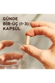 Solgar Milk Thistle 100 mg 50 Kapsül thumbnail 3