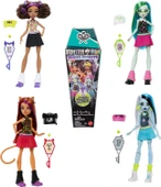 Monster High Gömülü Sırlar HYV64 thumbnail 1