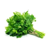 Maydanoz Tohumu 10 gr thumbnail 3