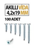Akıllı Vida 4,2X19 MM 100 Adet thumbnail 2