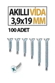 Akıllı Vida 3,9X 19 MM 100 Adet thumbnail 2