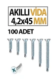 Akıllı Vida 4,2X45 MM 100 Adet thumbnail 2