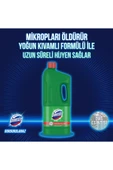 DOMESTOS DAĞ ESİNTİSİ 1850 GR thumbnail 3