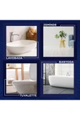 DOMESTOS DAĞ ESİNTİSİ 1850 GR thumbnail 4