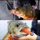 40 Adet Set Jig Head - 1g, 2g, 4g, 7g thumbnail 4