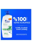 Head & Shoulders Mentol Ferahlığı Şampuan 800 ml thumbnail 3