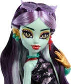 Monster High Jinafire Long HYV58 thumbnail 2