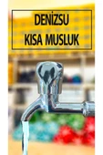 Musluk Kısa Tip thumbnail 1