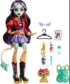 Monster High Jinafire Long HYV58 thumbnail 4