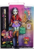 Monster High Jinafire Long HYV58 thumbnail 5