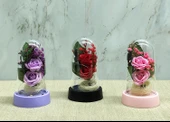 Işıklı Müzikli Romantik Fanus Tekli Gül thumbnail 2