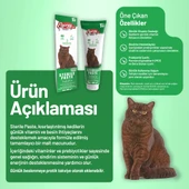 Kısırlaştırılmış Kedi Paste 100 g - 12 Adet thumbnail 2