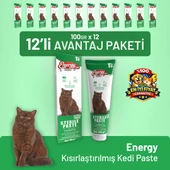 Kısırlaştırılmış Kedi Paste 100 g - 12 Adet thumbnail 1