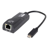 ZR203 Usb 3.0 1011 Type-C Ethernet Çevirici thumbnail 1