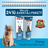 Yetişkin Kedi Malt Paste 100 g - 24 Adet thumbnail 1