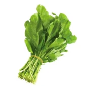 Roka Tohumu 10 gr thumbnail 3