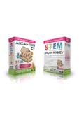 Stemist Box: Ahşap Ev thumbnail 3