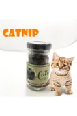 Catnip Doğal Otu - Nanesi thumbnail 3