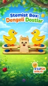 Stemist Box: Dengeli Dostlar thumbnail 1