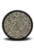 Vivid Sade Kanarya Yemi (aspur) 1 Kg thumbnail 1