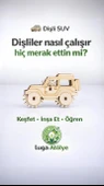 Stemist Box: Dişli Suv thumbnail 1