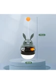 pet Rabbit Mamamatik Hacıyatmaz thumbnail 2