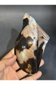 gemsartdeco Brown Lip Kabuk thumbnail 2