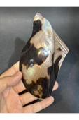 gemsartdeco Brown Lip Kabuk thumbnail 1