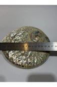 gemsartdeco Abalone Large Whitewidov thumbnail 2