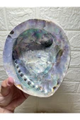 gemsartdeco Abalone Filipinler Efsane Kabuk thumbnail 4