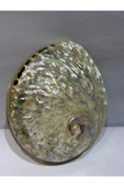 gemsartdeco Abalone Large Whitewidov thumbnail 3