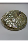 gemsartdeco Abalone Large Whitewidov thumbnail 5