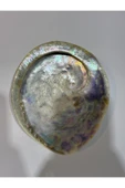 gemsartdeco Abalone Large Whitewidov thumbnail 4