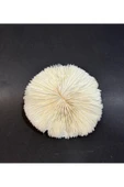 gemsartdeco MANTAR MERCAN thumbnail 3