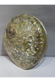 gemsartdeco Abalone Large Whitewidov thumbnail 7
