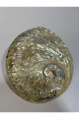 gemsartdeco Abalone Large Whitewidov thumbnail 1