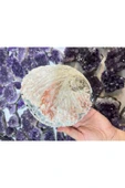 gemsartdeco Abalone Filipinler Efsane Kabuk thumbnail 1