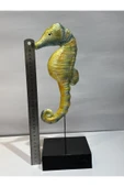 gemsartdeco DENİZATI OBJE (GERÇEK ) thumbnail 2