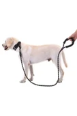 Reflektörlü Köpek Tasması 130 Cm. thumbnail 2