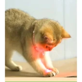 Otomatik Lazer Oyun Tasması thumbnail 3