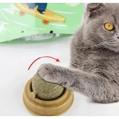 Kedi Nanesi Oyun Topu thumbnail 3