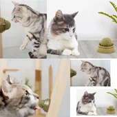 Kedi Nanesi Oyun Topu thumbnail 2