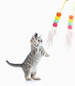 Elastik Yapışkanlı Kedi Oyun Oltası thumbnail 5