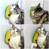 Silikon Kaşıyıcılı Kedi Otu thumbnail 4