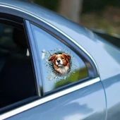 Fulcar Australian Shepherd Araç Stickerı thumbnail 2
