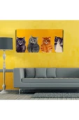 Yavru Kediler Canvas Tablo (60x120) thumbnail 3