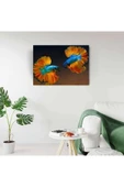 Beta Balıkları Canvas Tablo (50x70) thumbnail 3