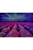 Mor Çiçek Tarlası Canvas Tablo (50x70) thumbnail 2