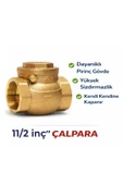 11/2'lik Çalpara Çek Valf thumbnail 2